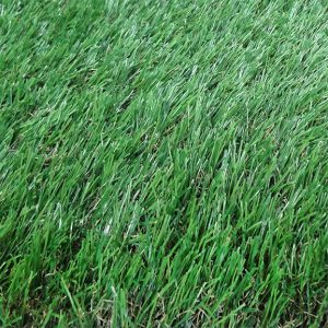 Synthetic Artificial Carpet Grass - 30mm